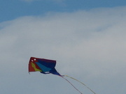 8th Feb 2025 - Come on the Rising Wind