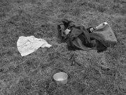 8th Feb 2025 - all the extras  [missed the fact that this was photo 1111 in this album]