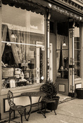8th Feb 2025 - The English Rose Tea Shoppe