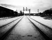 8th Feb 2025 - making tracks