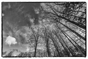 8th Feb 2025 - Morning Sky