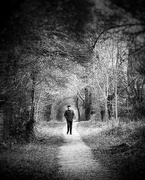 8th Feb 2025 - Walk