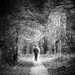 Walk by gaillambert