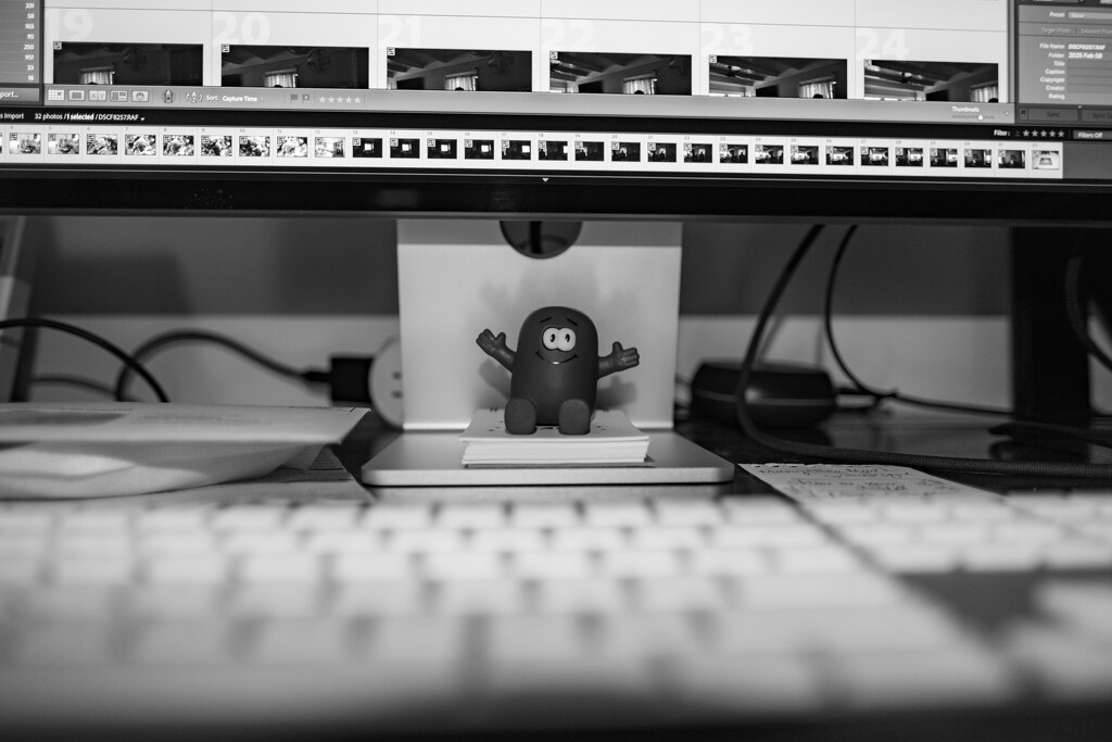 My Editing Buddy-8411 by kellyanngray