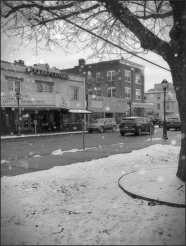 The Shops on Courtland Street by olivetreeann