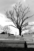 3rd Feb 2025 - Sweet Olive Cemetery