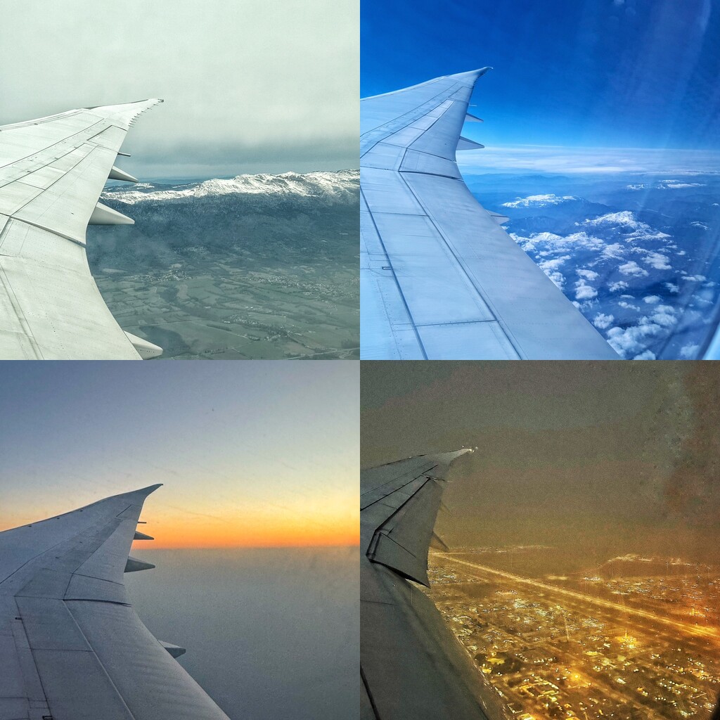 Different views.  by cocobella