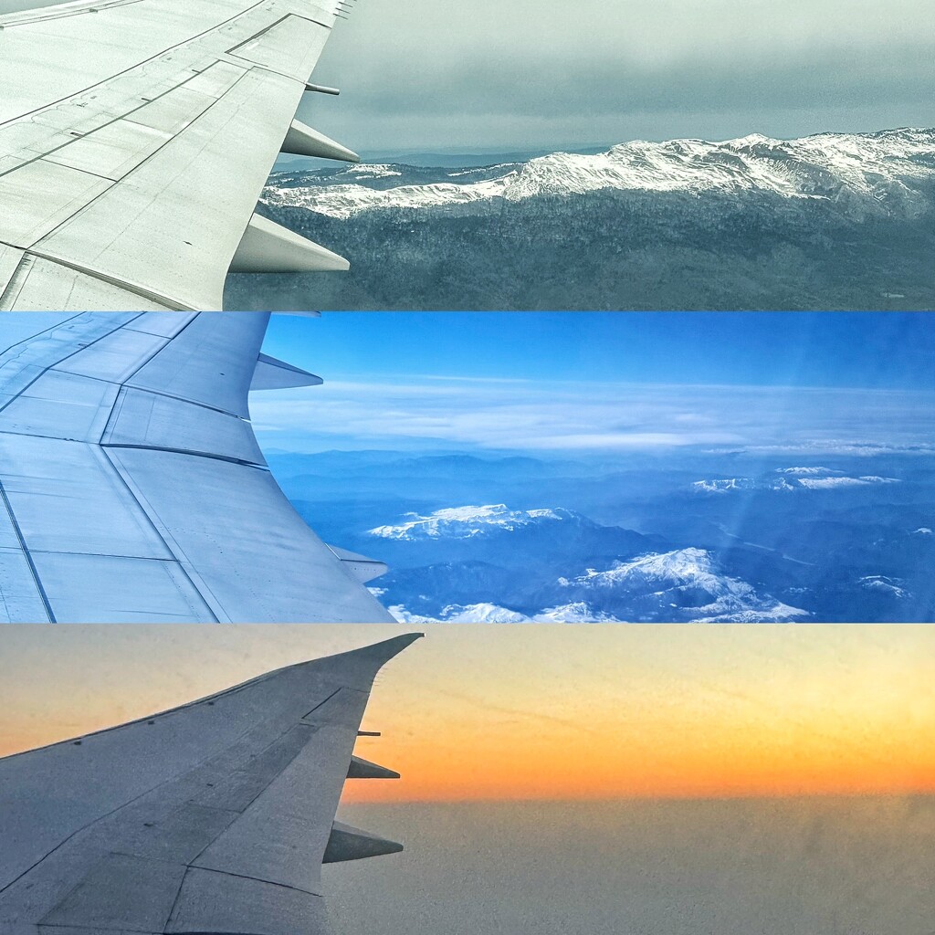 Horizons.  by cocobella
