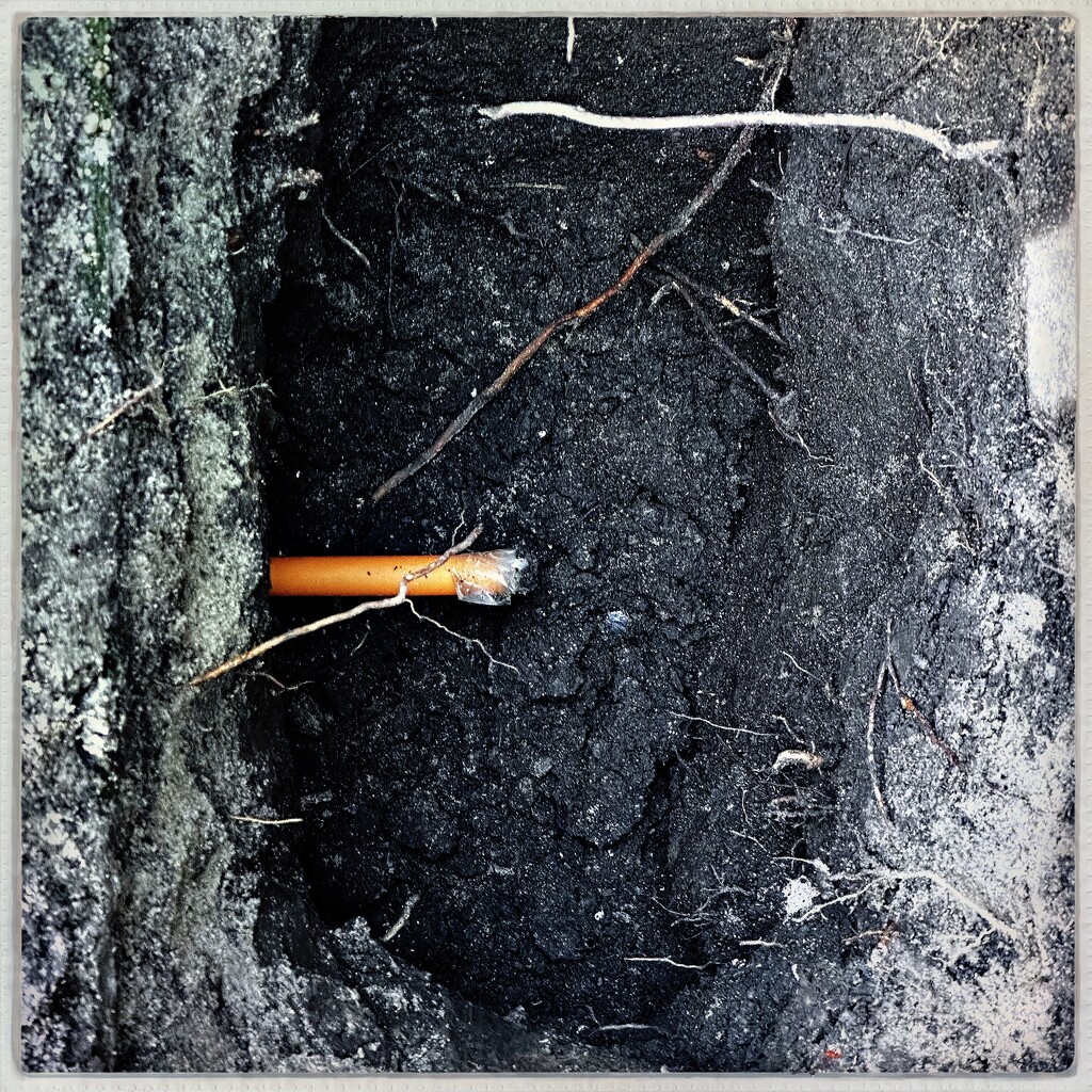 Fiber on the way… by mastermek
