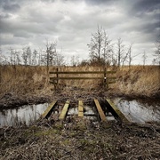 8th Feb 2025 - Some place (not) to cross