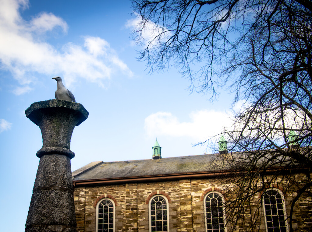 They are posh in Truro by swillinbillyflynn