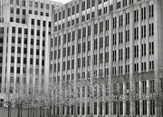 4th Feb 2025 - State Office Buildings 