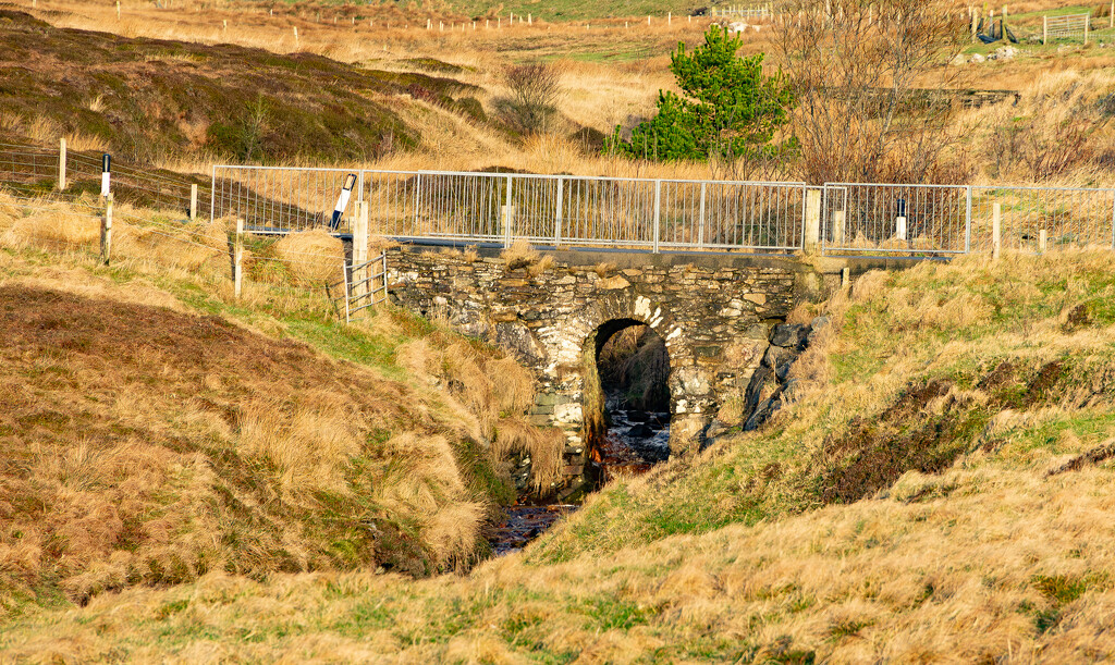 Bridge Over the Burn by lifeat60degrees