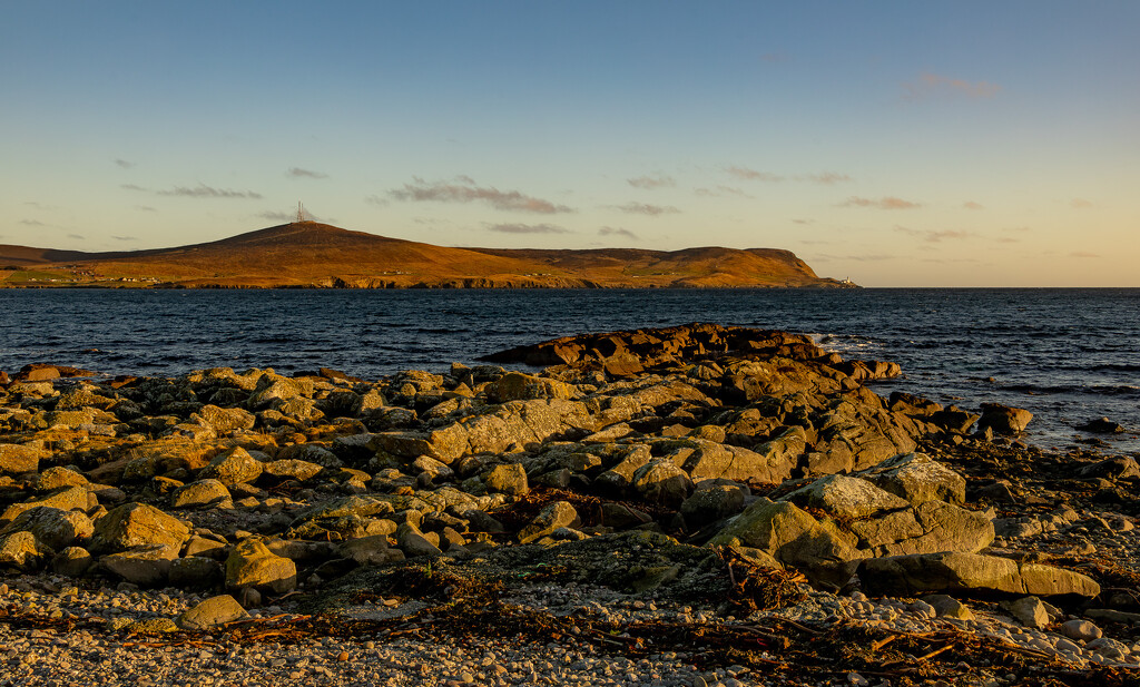 Golden Afternoon by lifeat60degrees