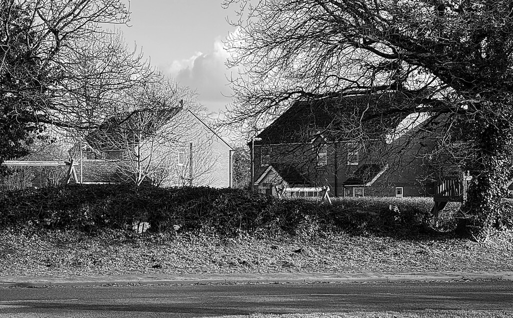 FOR 9 Around the Block by carole_sandford