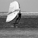 Wingfoiling  by cocokinetic
