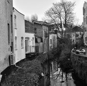 6th Feb 2025 - The Quaggy