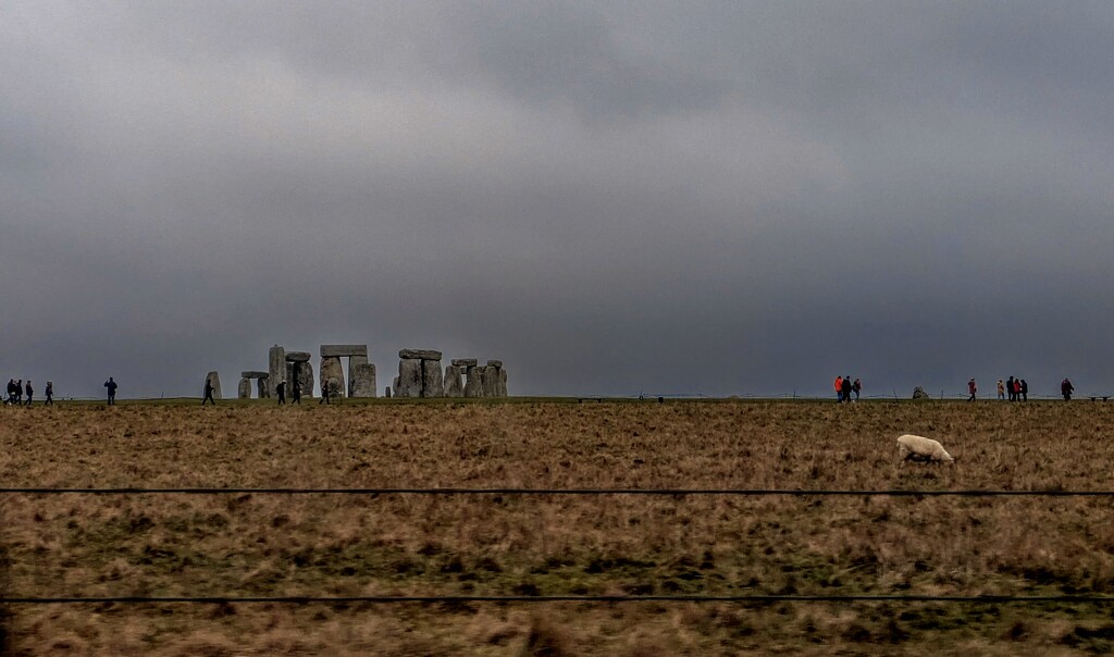 Stonehenge and sheep  by boxplayer