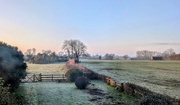 9th Feb 2025 - Frosty morning 