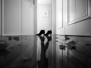 9th Feb 2025 - puddled