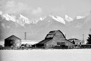 9th Feb 2025 - Unique Montana Barn - FOR2025