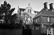 8th Feb 2025 - Blackheath Halls