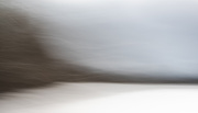 9th Feb 2025 - Come on the rising wind-19