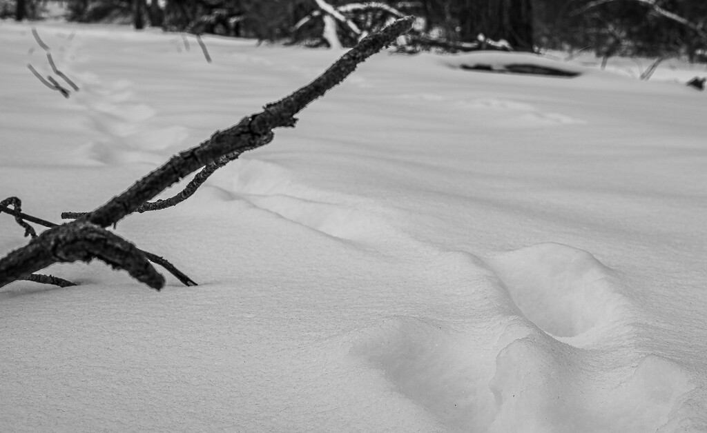 Buried footsteps-2 by darchibald