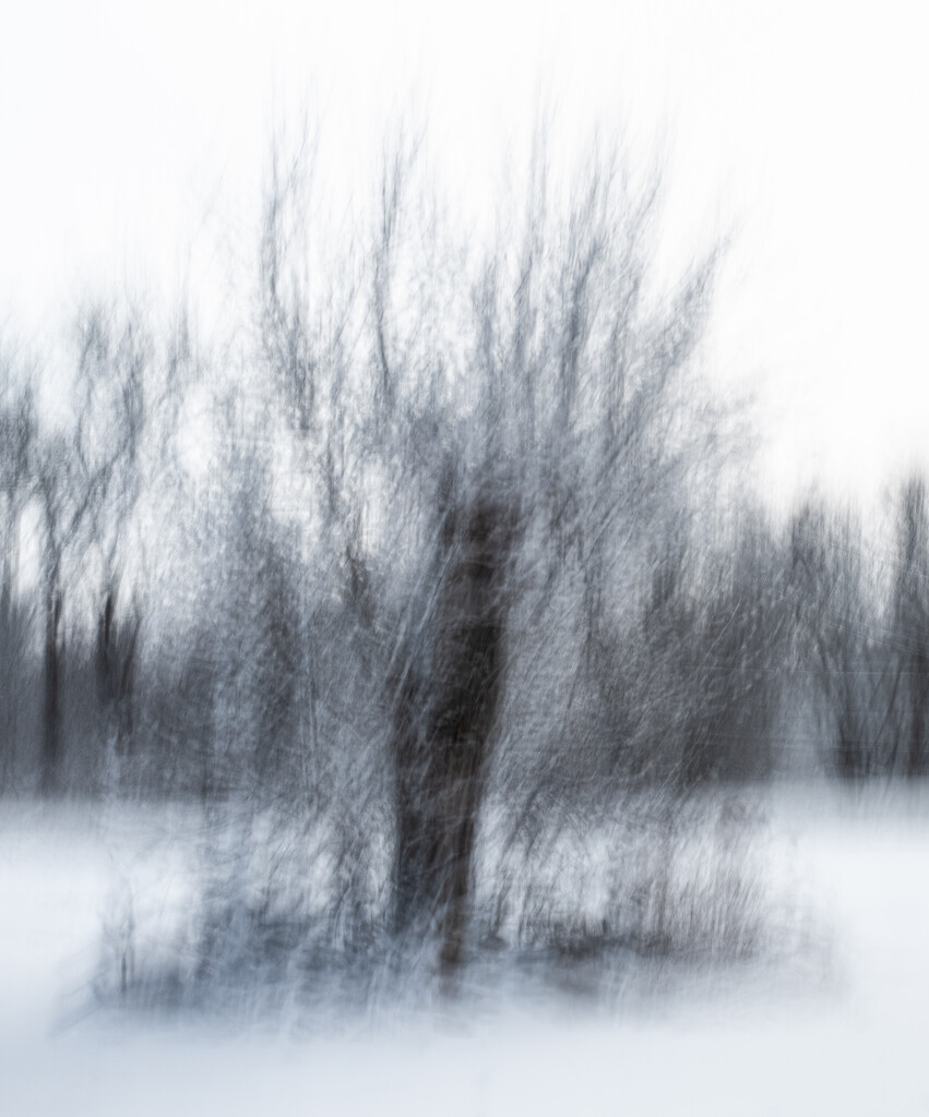 Frozen captivity by darchibald