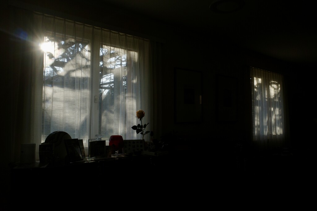Inside view  by vincent24