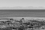 9th Feb 2025 - An Ocean View
