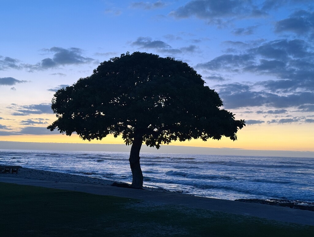 Blue Hawaii by redy4et