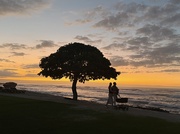 9th Feb 2025 - Strolling at Golden Hour 