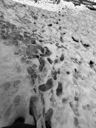 9th Feb 2025 - Footsteps