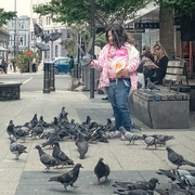 10th Feb 2025 - Pigeon Barbie