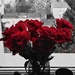 Red roses too by monikozi