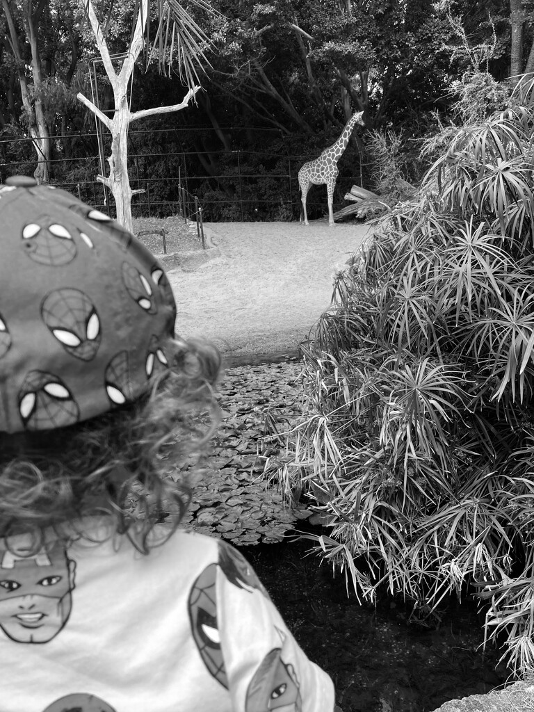 We Went to the Zoo by narayani