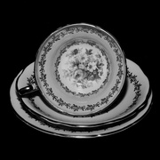 10th Feb 2025 - Vintage Cup & Saucer P2055531