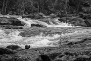 9th Feb 2025 - Sweetwater Creek