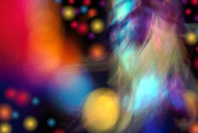 10th Feb 2025 - In the Limelight