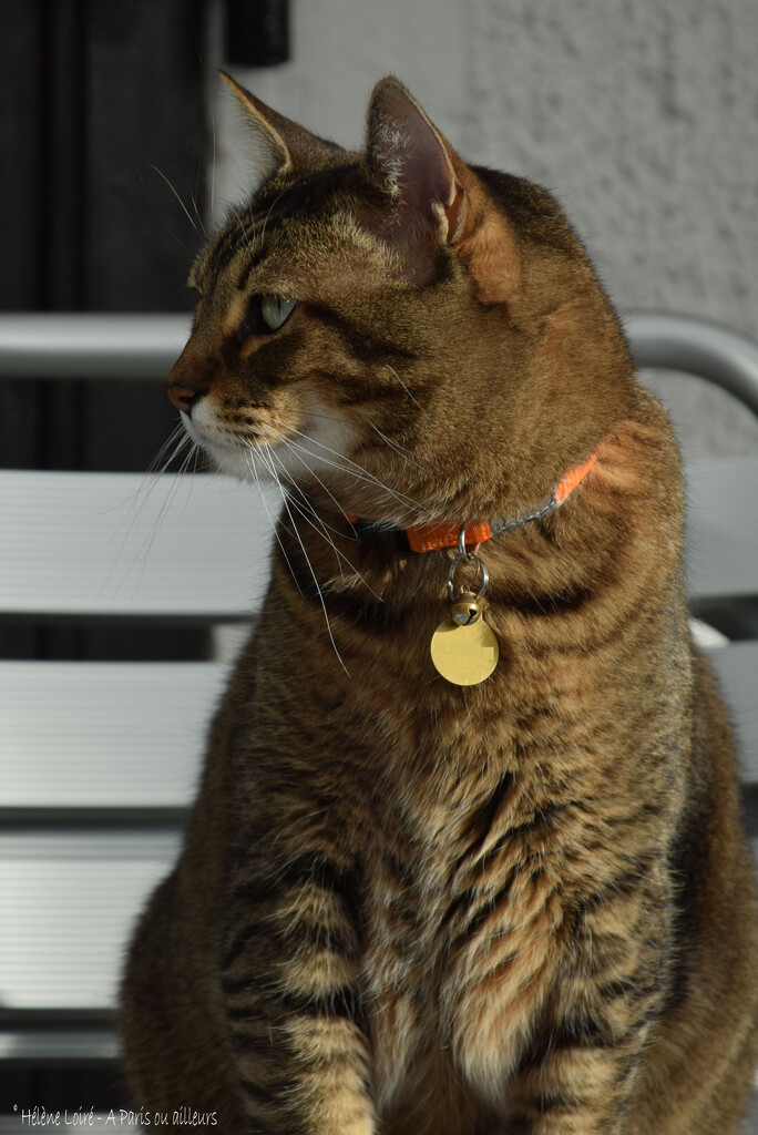 focused by parisouailleurs