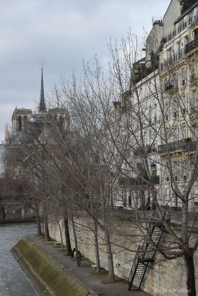 St Louis Island & Notre Dame by parisouailleurs