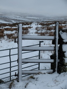 10th Feb 2025 - shortcut