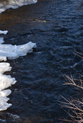 1st Feb 2025 - You Can Bet That's Cold!