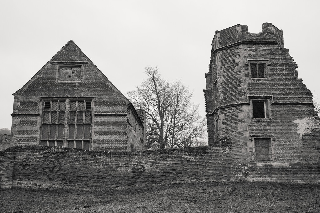 Bradgate by plebster