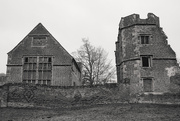 10th Feb 2025 - Bradgate