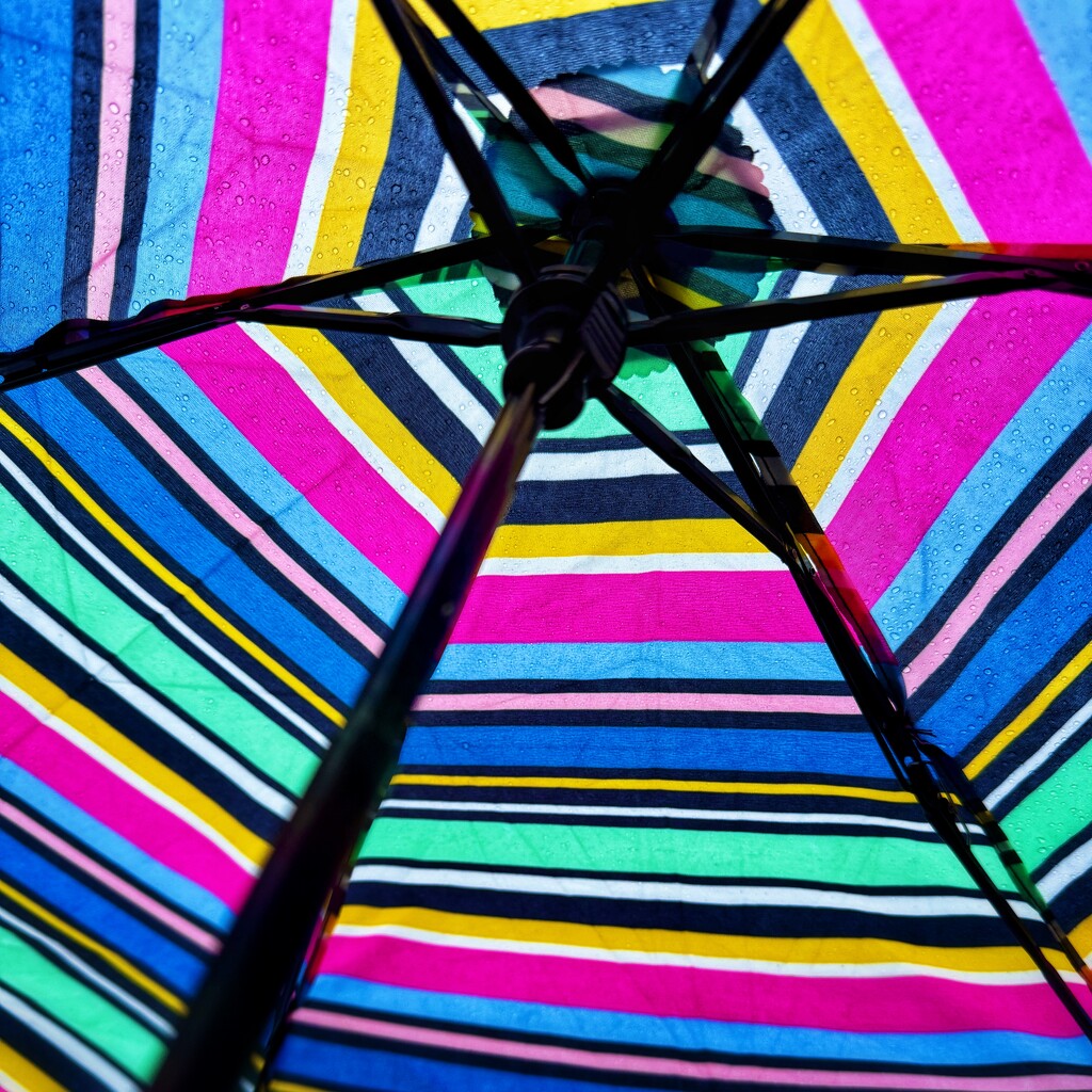 Umbrella  by gaillambert