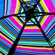 10th Feb 2025 - Umbrella 