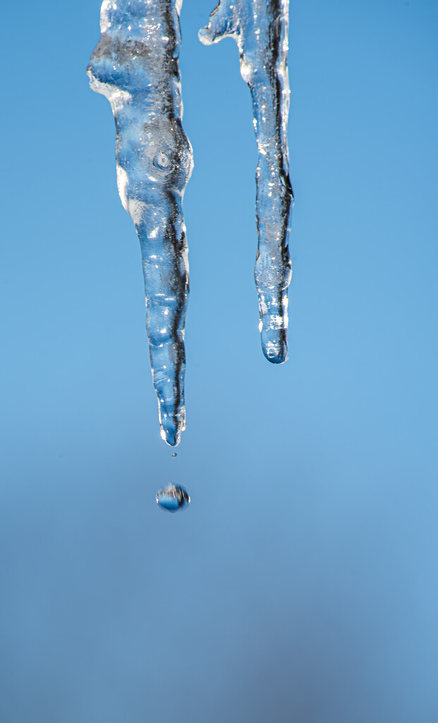 Fix your mind on a crystal day-16 by darchibald