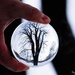 Look into my crystal ball by fayefaye